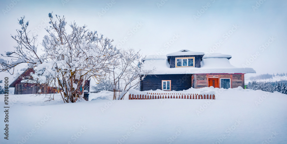 Christmas postcard. Snowy morning scene of old vooden house on Kryvopilʹsʹkyy pass. Panoramic winter view of Carpathians willage. Beauty of countryside concept background. - obrazy, fototapety, plakaty 