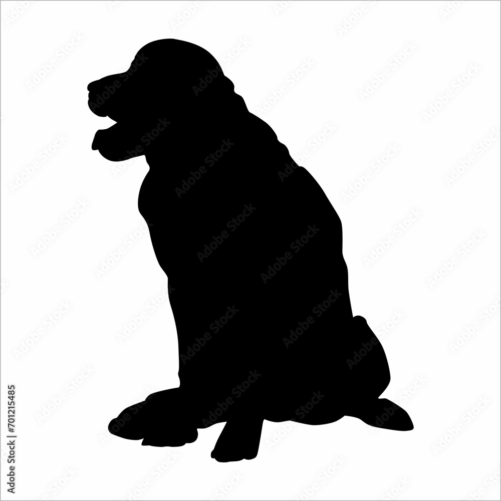 silhouette of a dog