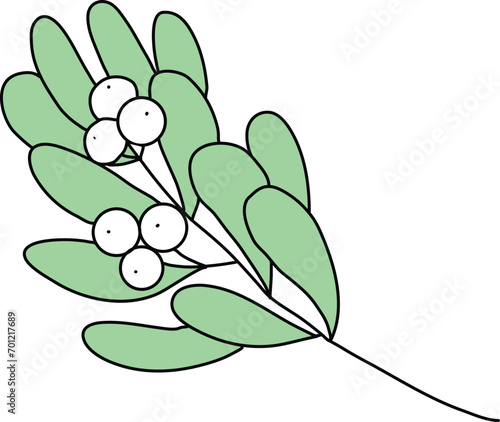 Mistletoe is drawn with simple lines, Beautiful mistletoe green leaves. decorate cards for Christmas New Year.consisting of mistletoe leaves and white berries.