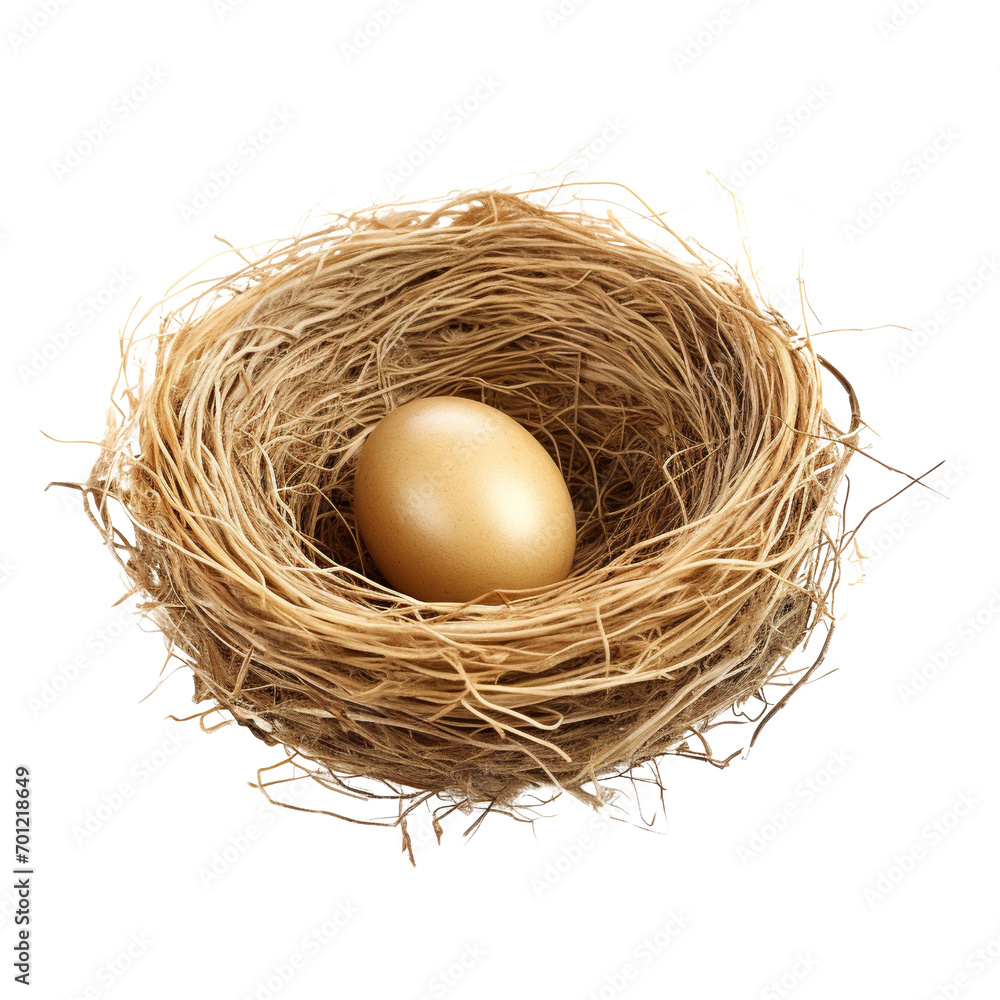 Bird nest isolated on white background Bird nest isolated on white background