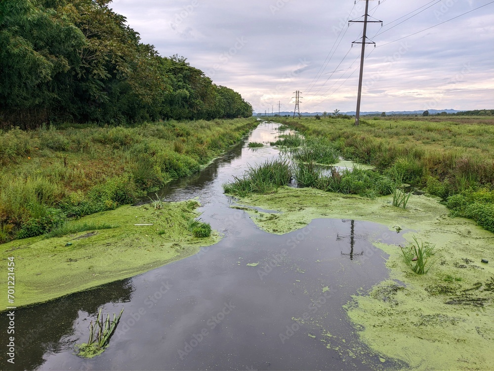 Obraz premium river in the countryside