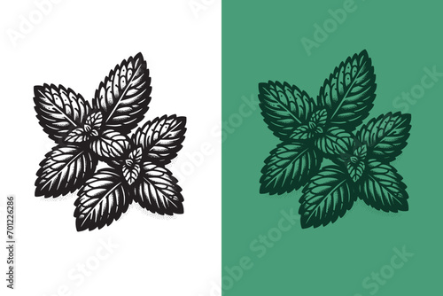 Mint leaves engraving icons. Hand drawn isolated elements. Vintage retro style