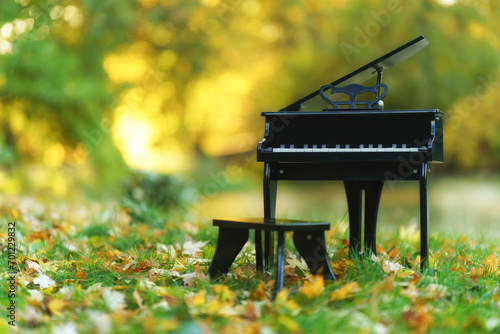 A piano standing on a grassy meadow in the autumn aura