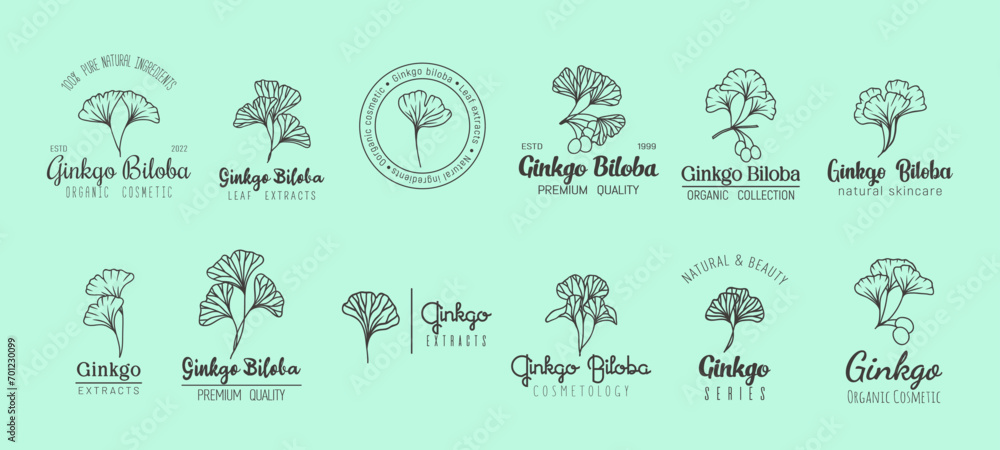 Ginkgo biloba minimal emblem, natural skin care cosmetics and extract. Vector set of linear labels with plant leaves and fonts, reflecting purity of nature. Simply clean and refreshing beauty cosmetic - obrazy, fototapety, plakaty 