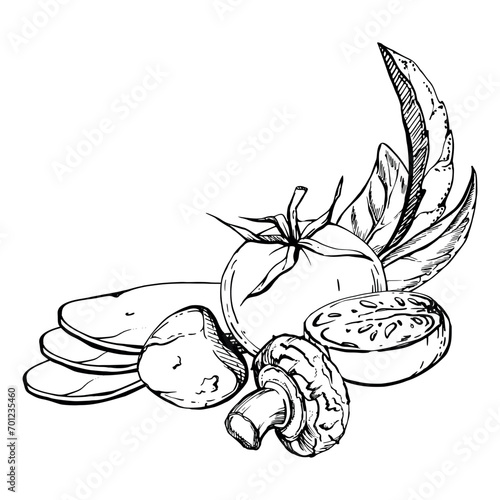 Hand drawn vector ink illustration. Tomato champignon mozzarella cheese basil herb leaves fresh products meal. Composition isolated on white. Restaurant menu, cafe, food shop or package, flyer, print.