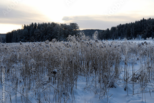Photography Winter in Norway