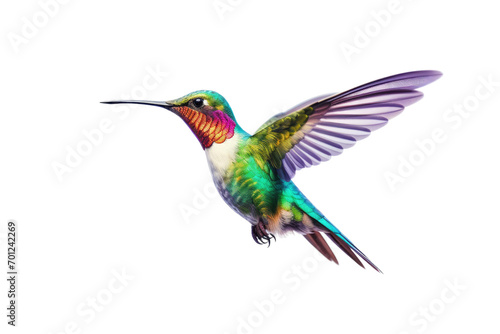 Hummingbird Beauty Isolated On Transparent Background