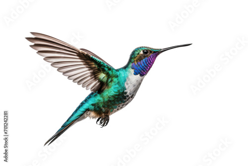 Grace Hummingbird Isolated On Transparent Background