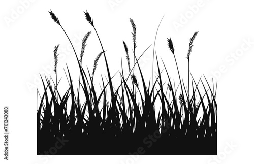 A Grass vector Silhouette isolated on a white background