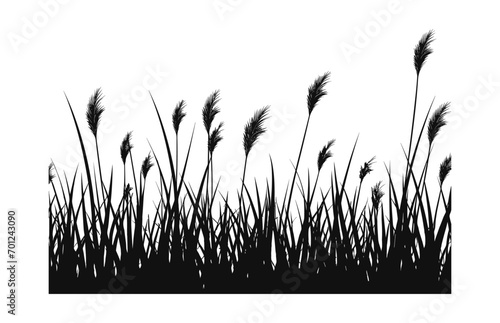 A Grass vector black Silhouette Clipart isolated on a white background