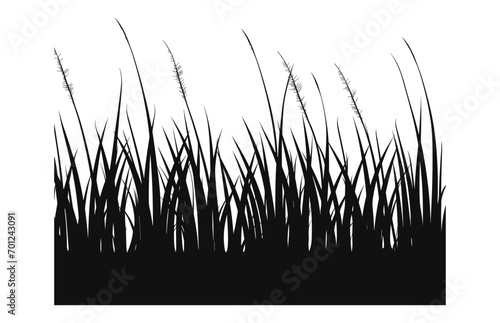 A Grass vector black Silhouette isolated on a white background