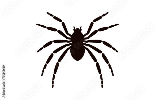 A Spider vector black silhouette isolated on a white background