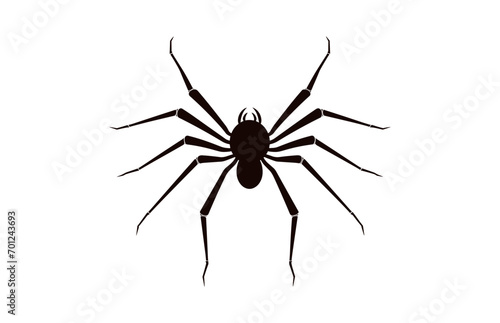 A Spider vector black silhouette isolated on a white background © GFX Expert Team