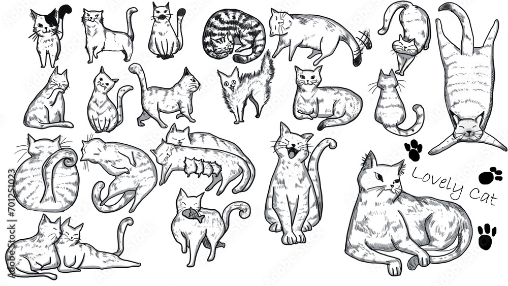 animals set
-Lovely Cats animals set
-Lovely Cats