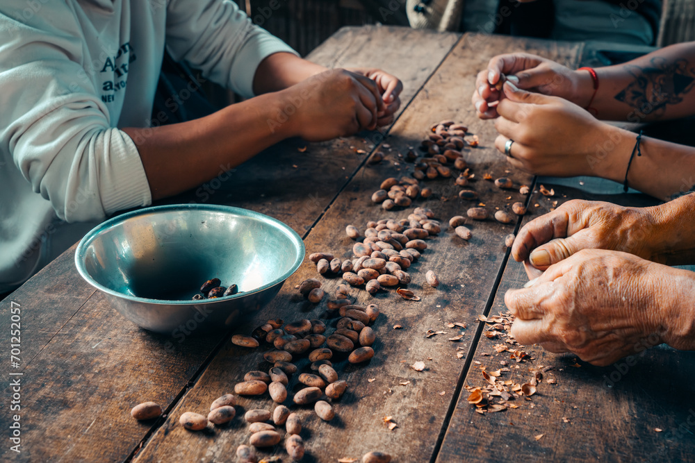 Cocoa beans peeling in the Amazon Rainforest, Ecuador - obrazy, fototapety, plakaty 