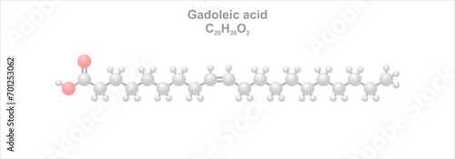 Gadoleic acid. Simplified scheme of the molecule. Prominent component of cod liver oil. photo