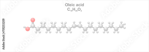 Oleic acid. Simplified scheme of the molecule. Occurs naturally in animal and vegetable fats and oils.