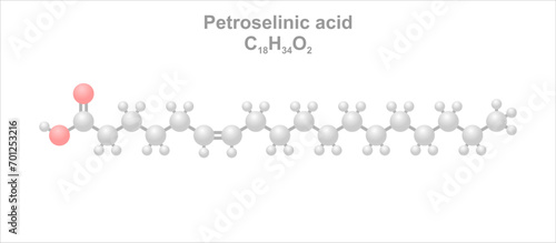 Petroselinic acid. Simplified scheme of the molecule. Occurs in parsley seed. Use in cosmetics.