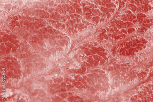 fresh raw meat background design vector illustration.