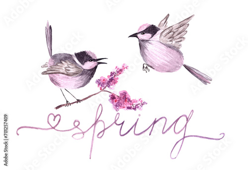 Hand drawn watercolor little birds on blossoming branch of cherry lilac tree as concept of family, feelings, spring beginning and love.Word 