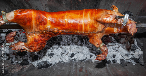A young pig is roasted on a spit over coals. photo