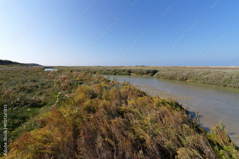 The Nature Reserve of the Bay of Somme 