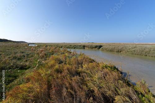 The Nature Reserve of the Bay of Somme 