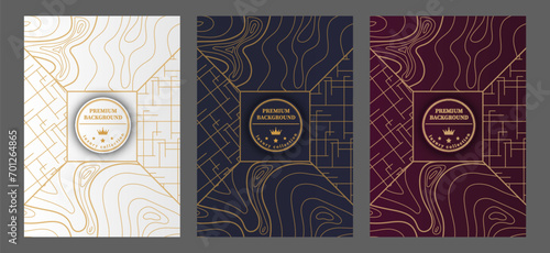 A luxurious pattern. A set of spectacular patterns for covers, prints, interior design, packaging, premium funds and creative ideas
