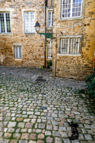 Cat lying on a cobbled street in the historical center of Le mans, France