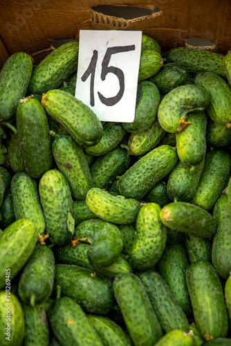 Cucumbers sold in Chisinau central market, Moldova