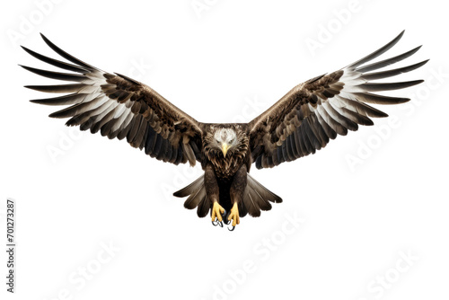 Magnificent Eagle Isolated On Transparent Background