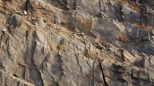 The detailed surface of a rocky outcrop, each crack telling a million-year-old story