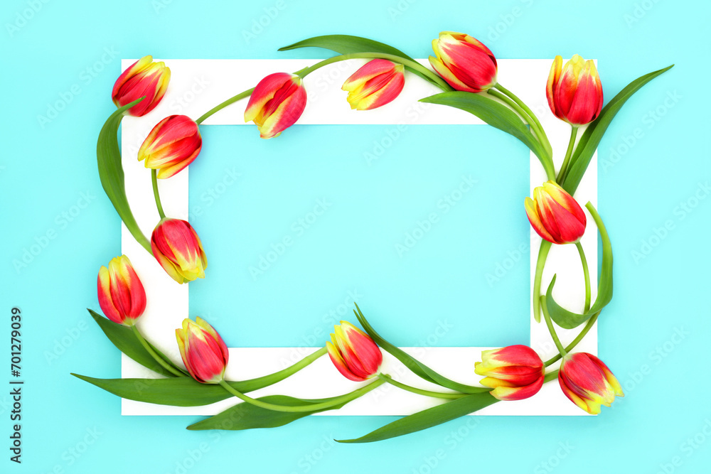 Red and yellow tulip flower abstract with white frame on pastel turquoise background. Minimal abstract design for the Spring Beltane season, Easter and Mothers Day. Red and yellow tulip flower abstract with white frame on pastel turquoise background. Minimal abstract design for the Spring Beltane season, Easter and Mothers Day.