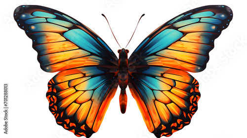Butterfly Image, Transparent Insect, PNG Format, No Background, Isolated Colorful Flutterer, Winged Beauty photo
