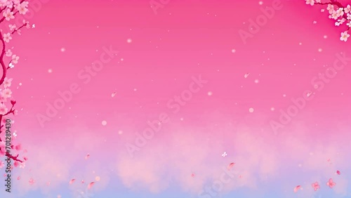 pink background withsnow cherry blossom photo