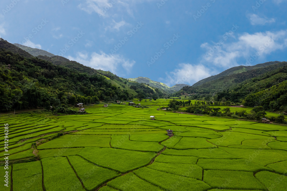 Beautiful green terraces rice field middle of the valley. Beautiful green terraces rice field middle of the valley.
