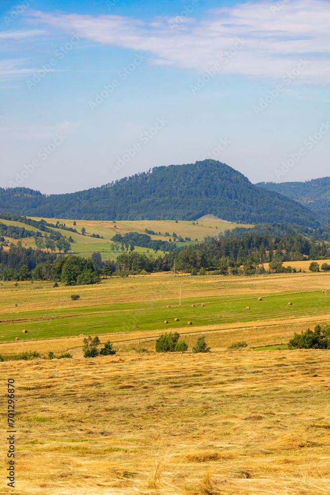 Beautiful landscape of glades and clearing full of fields and trees between it at mountains at sunny cloudy day Beautiful landscape of glades and clearing full of fields and trees between it at mountains at sunny cloudy day