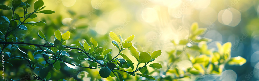 Bright and Sunny Abstract Spring Mood Background for Website or Print Banner Bright and Sunny Abstract Spring Mood Background for Website or Print Banner