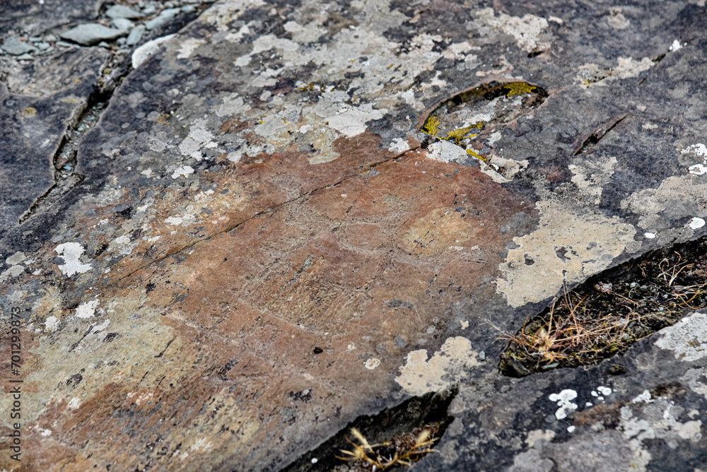 Rock paintings in the Kalbak Tash tract. Petroglyphs dating from 1000 to 5000 thousand years BC. Altai Republic. Rock paintings in the Kalbak Tash tract. Petroglyphs dating from 1000 to 5000 thousand years BC. Altai Republic.