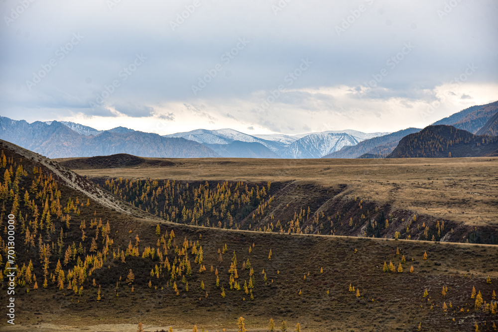 Naklejka premium Mountain landscape. Mountains with trees in autumn.