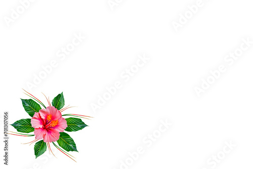 Hibiscus flower border on white background, with space for text