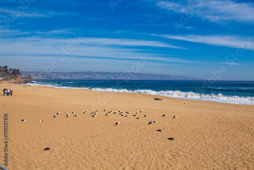 beach Reñaca, Viña del Mar, Valparaíso Chile