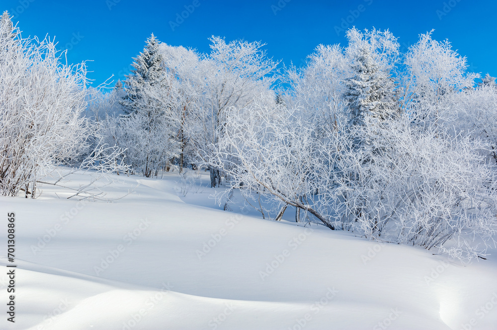Lao Rik soft rime landscape, northwest of Zhenbong Mountain, at the junction of Helong city and Antu County, Yanbian Korean Autonomous Prefecture, Jilin Province, China Lao Rik soft rime landscape, northwest of Zhenbong Mountain, at the junction of Helong city and Antu County, Yanbian Korean Autonomous Prefecture, Jilin Province, China