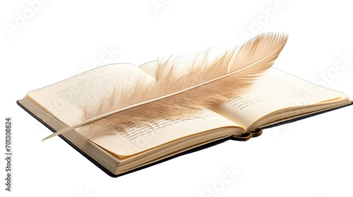 old book and feather