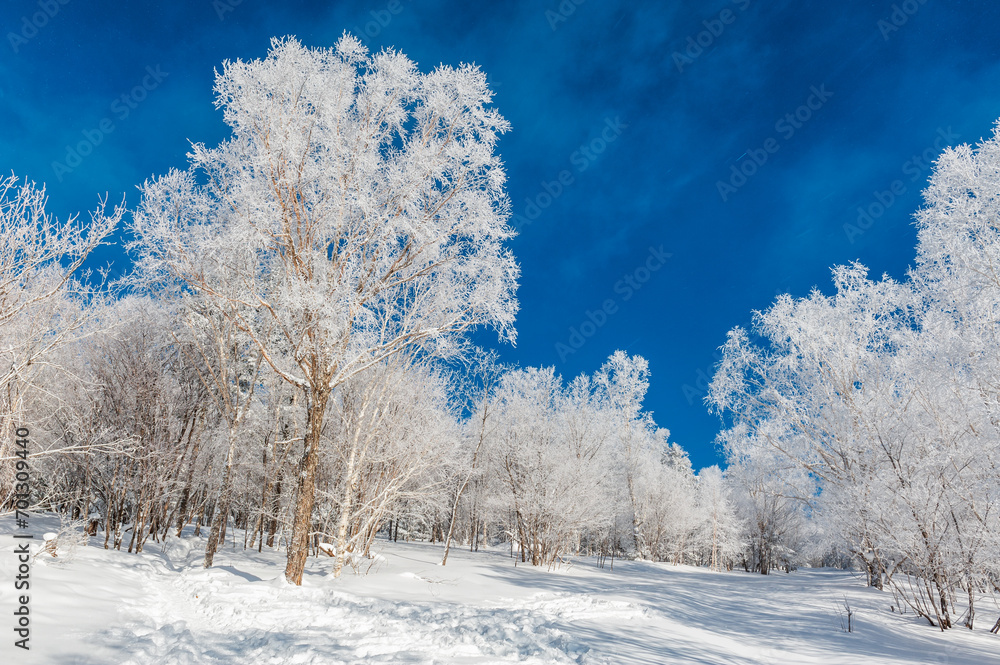 Lao Rik soft rime landscape, northwest of Zhenbong Mountain, at the junction of Helong city and Antu County, Yanbian Korean Autonomous Prefecture, Jilin Province, China Lao Rik soft rime landscape, northwest of Zhenbong Mountain, at the junction of Helong city and Antu County, Yanbian Korean Autonomous Prefecture, Jilin Province, China
