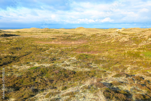 Beautiful dune landscape in Bulbjerg, northern Jutland, Denmark