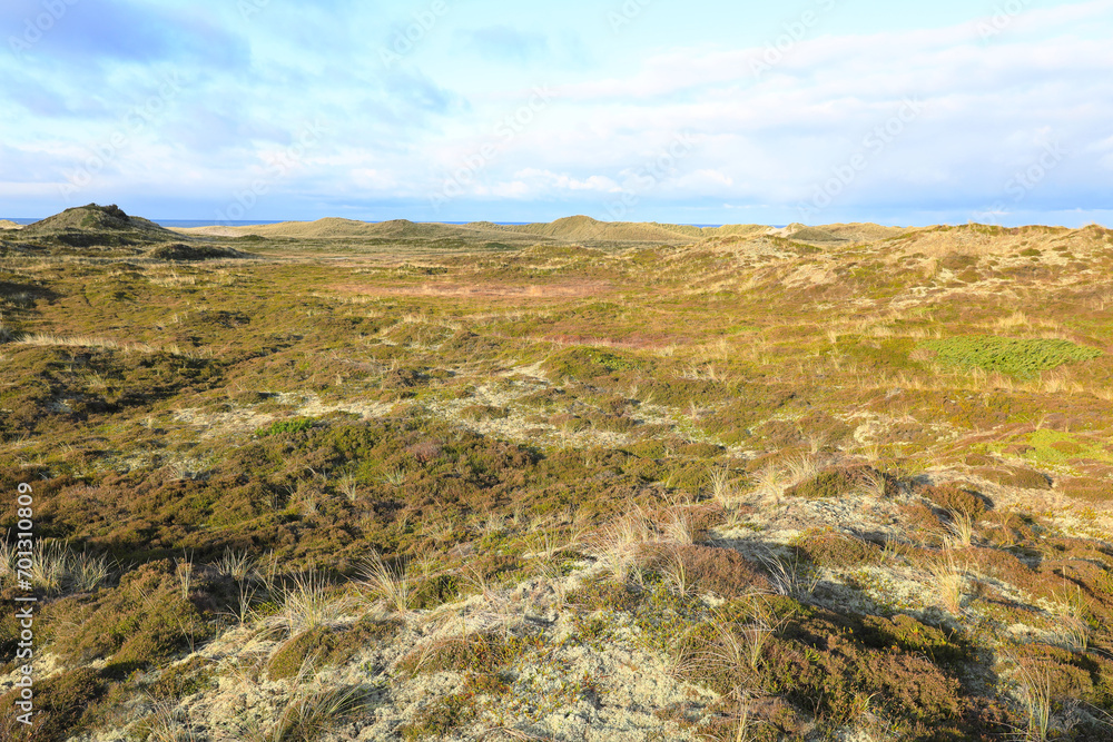 Dune landscape in Bulbjerg, Jutland, Denmark