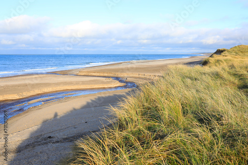 Idyllic sand beach in Thy National Park near Hanstholm in Jutland  Denmark