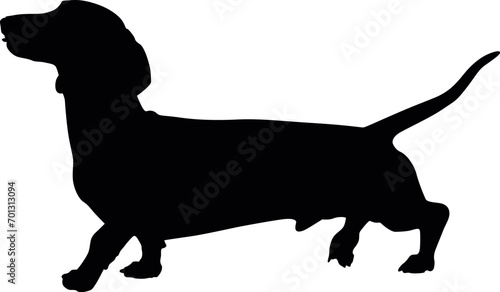 Dachshund, Wiener dog, Badger dog, Doxie, Sausage dog SVG Cut File for Cricut and Silhouette, EPS ,Vector, PNG , JPEG, Zip Folder