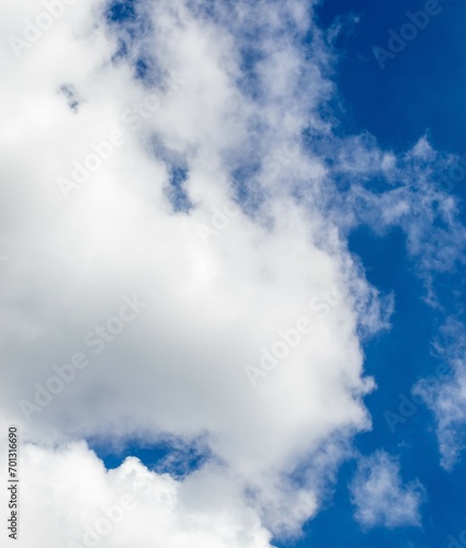 The face of a baboon in the clouds